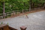 Make some deer friends while you stay